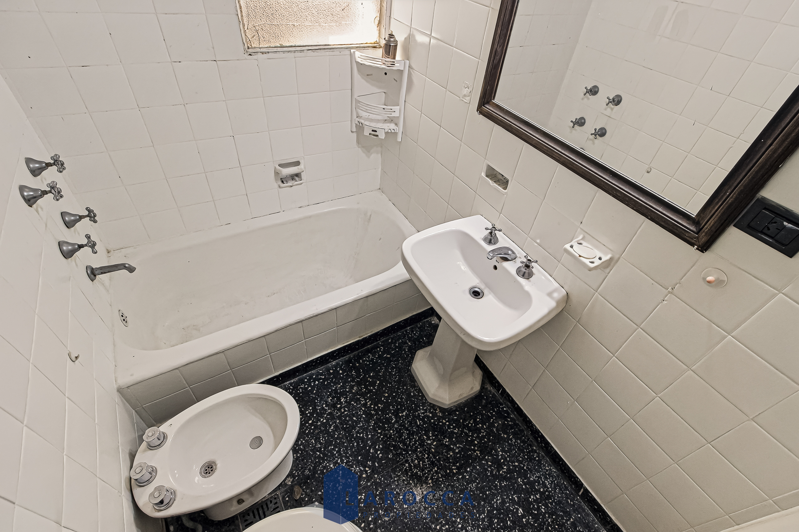 Arenales 2774 (11)